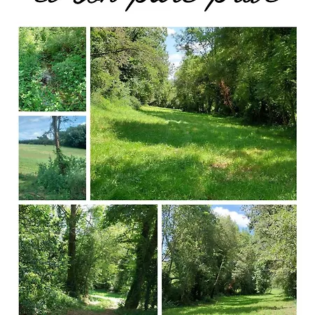 La Bubble Luksustelt *