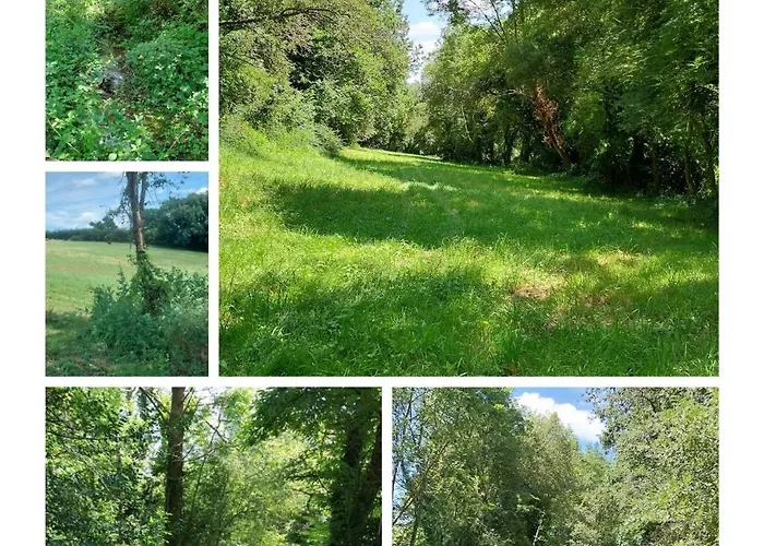 La Bubble Campo de lujo *